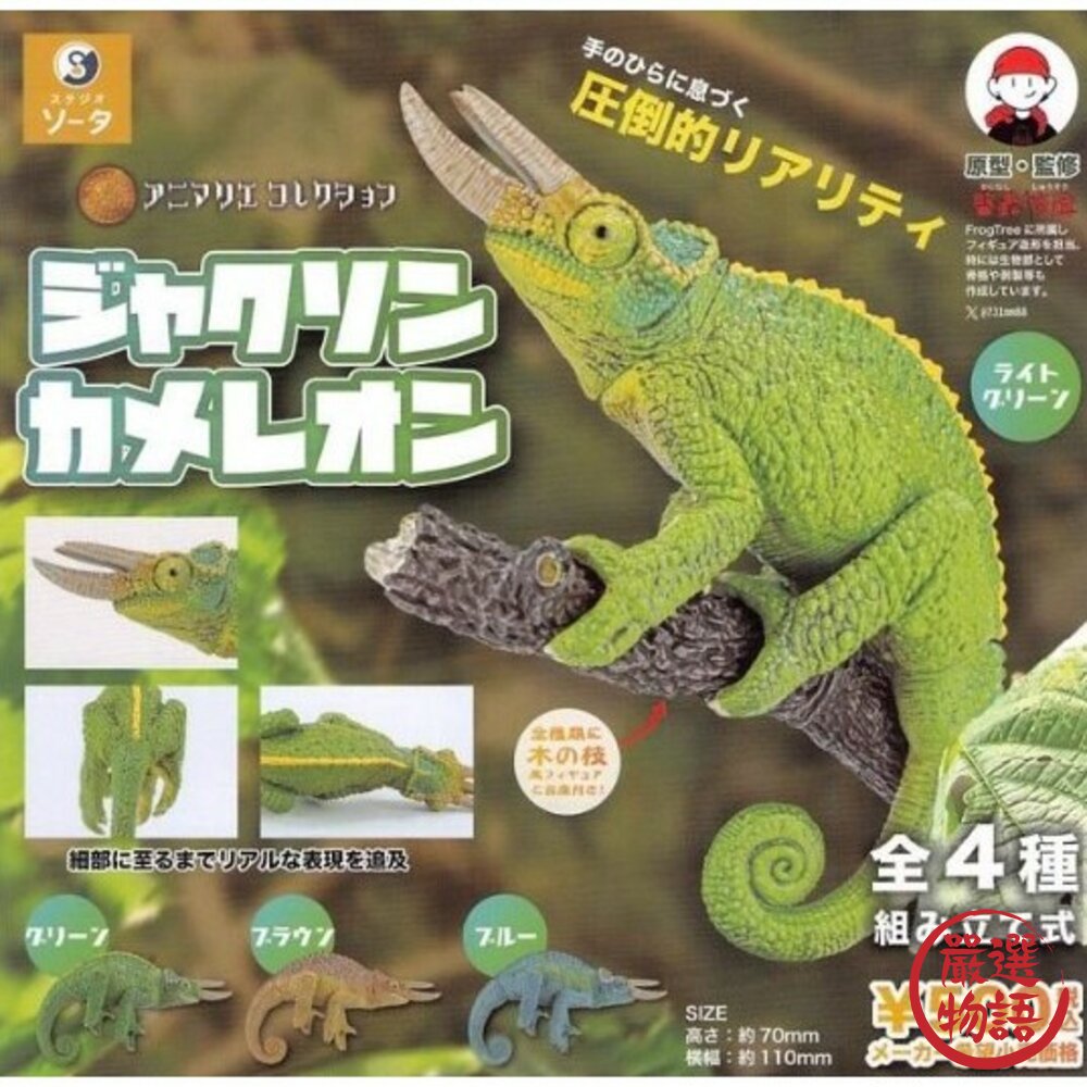 現貨 日本 SO-TA 動物收集 傑克森變色龍 公仔 | 扭蛋 擬真動物公仔 人氣變色龍公仔 辦公室小物 日本進口 封面照片