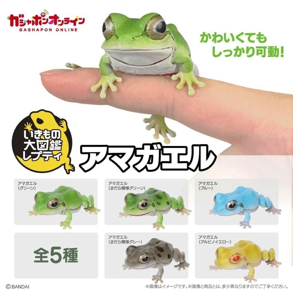 SF-020464-現貨 日本BANDAI萬代扭蛋 生物大圖鑑日本雨蛙 全五種 日本青蛙 自然科學教具 青蛙模型 爬蟲類公仔 轉蛋 日本進口