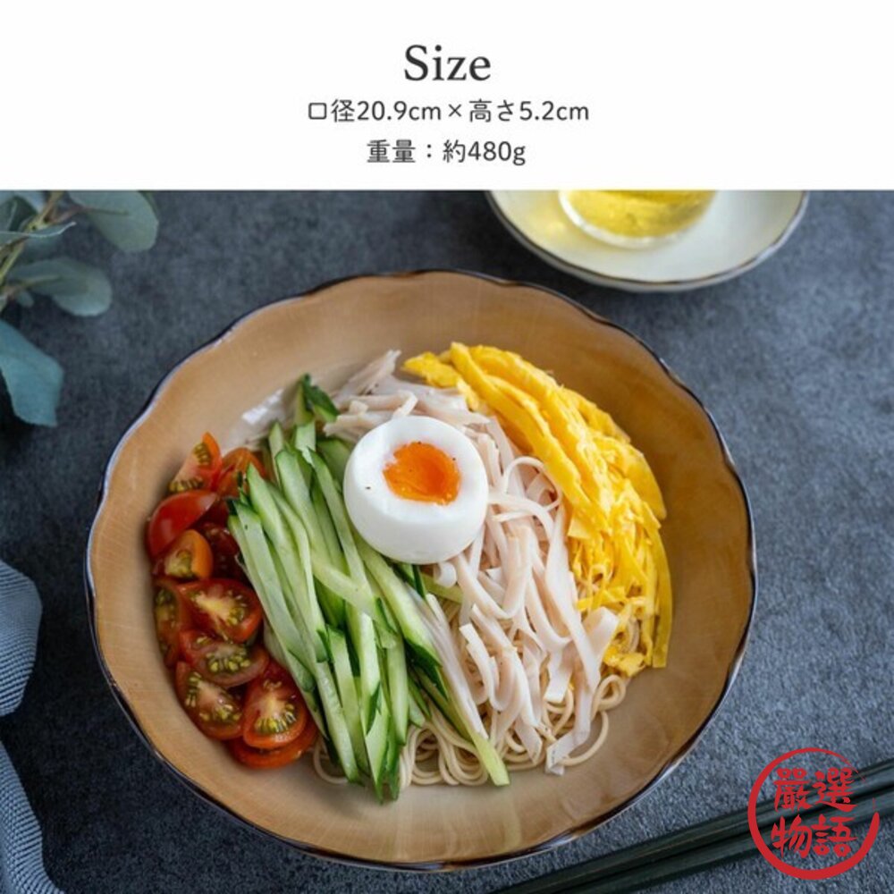 日本製透明十草冷麵蕎麥麵日式餐盤 日式碗盤 圓盤| 20.9cm 麵盤 菜盤 深盤 餐盤-圖片-5