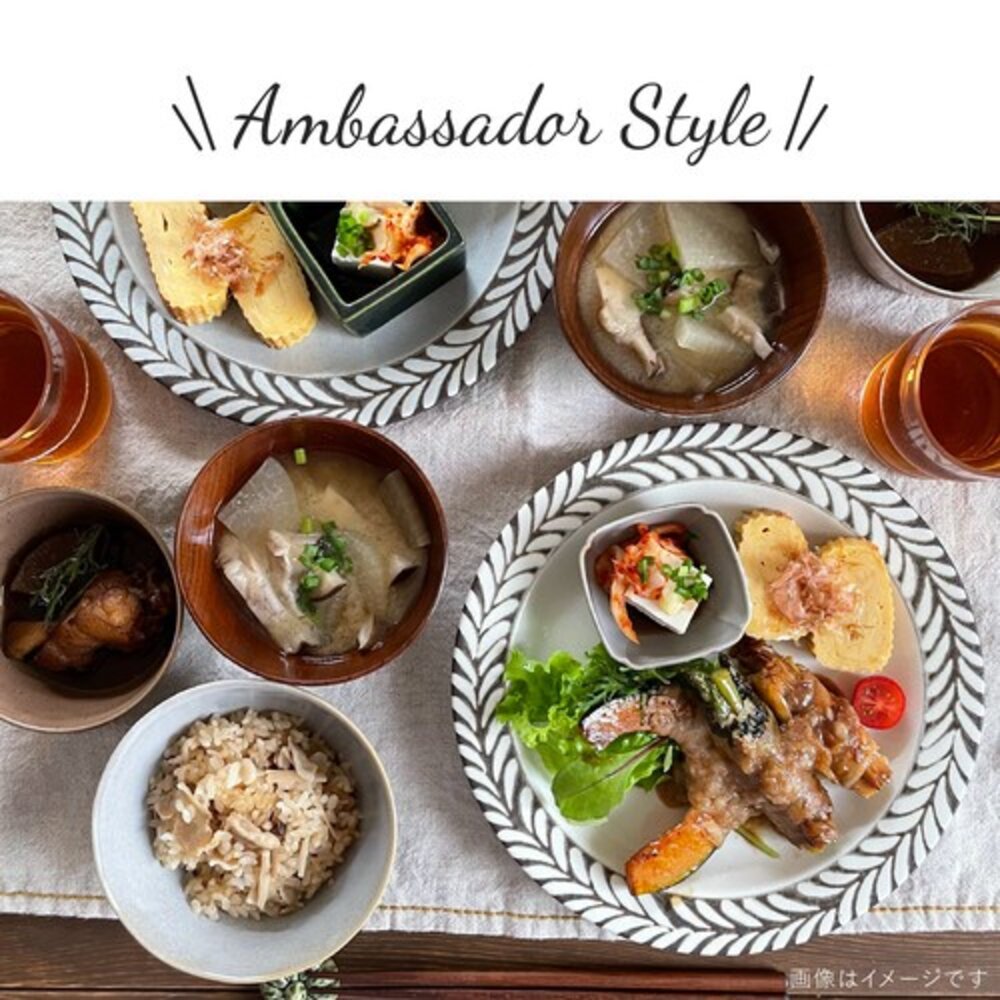 SF-020803-日本製 陶瓷 美濃燒 羽毛 陶瓷盤 沙拉盤 菜盤 水果盤 點心盤 圓盤 盤子 餐盤 瓷盤 碗盤 碗盤器皿 日本進口