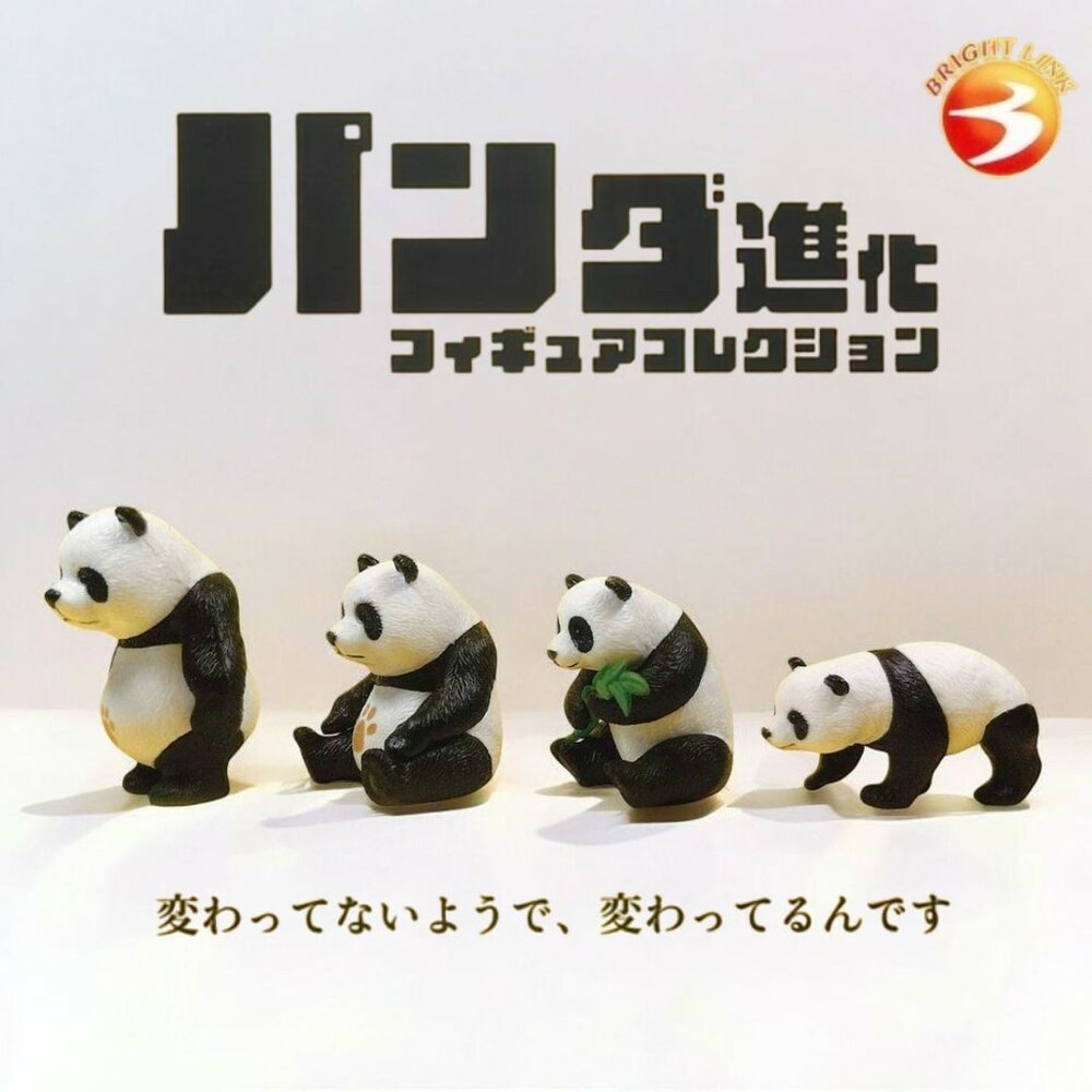 SF-020832-現貨 日本扭蛋 熊貓進化公仔 扭蛋 轉蛋 模型 熊貓公仔 動物公仔 貓熊 PANDA BRIGHT LINK 日本進口