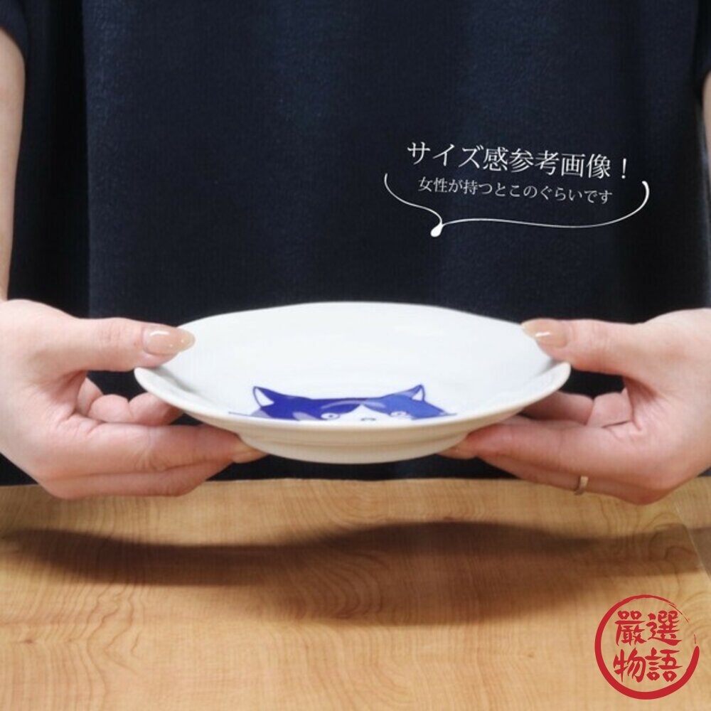陶瓷盤 貓咪圓盤 日本美濃燒 貓奴必收 喵~SHICHITA 16cm 圓盤 點心盤 水果盤 甜點盤 日本進口-圖片-6