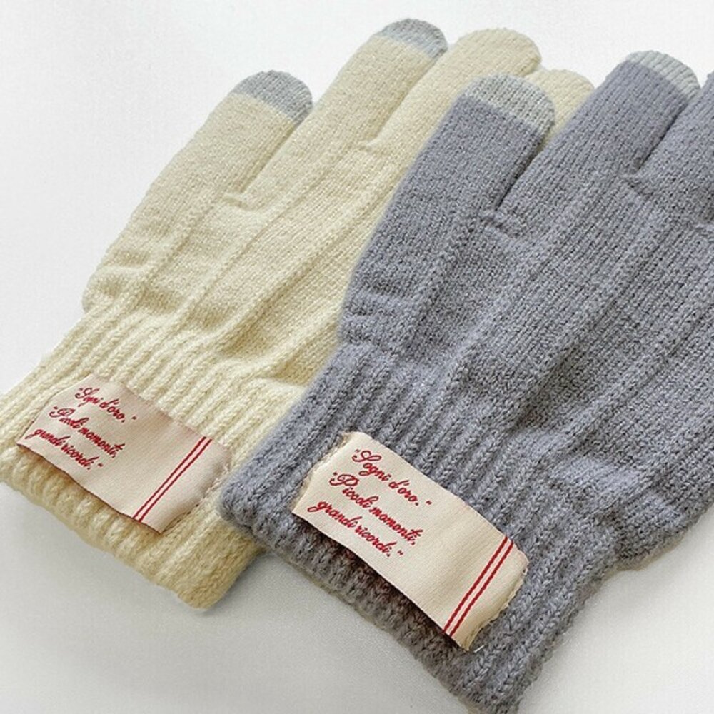 SF-020923-可划手機 刷毛保暖手套 男女通用 滑雪手套 防寒手套 針織手套 觸控手套 保暖手套 冬天必備 日本進口