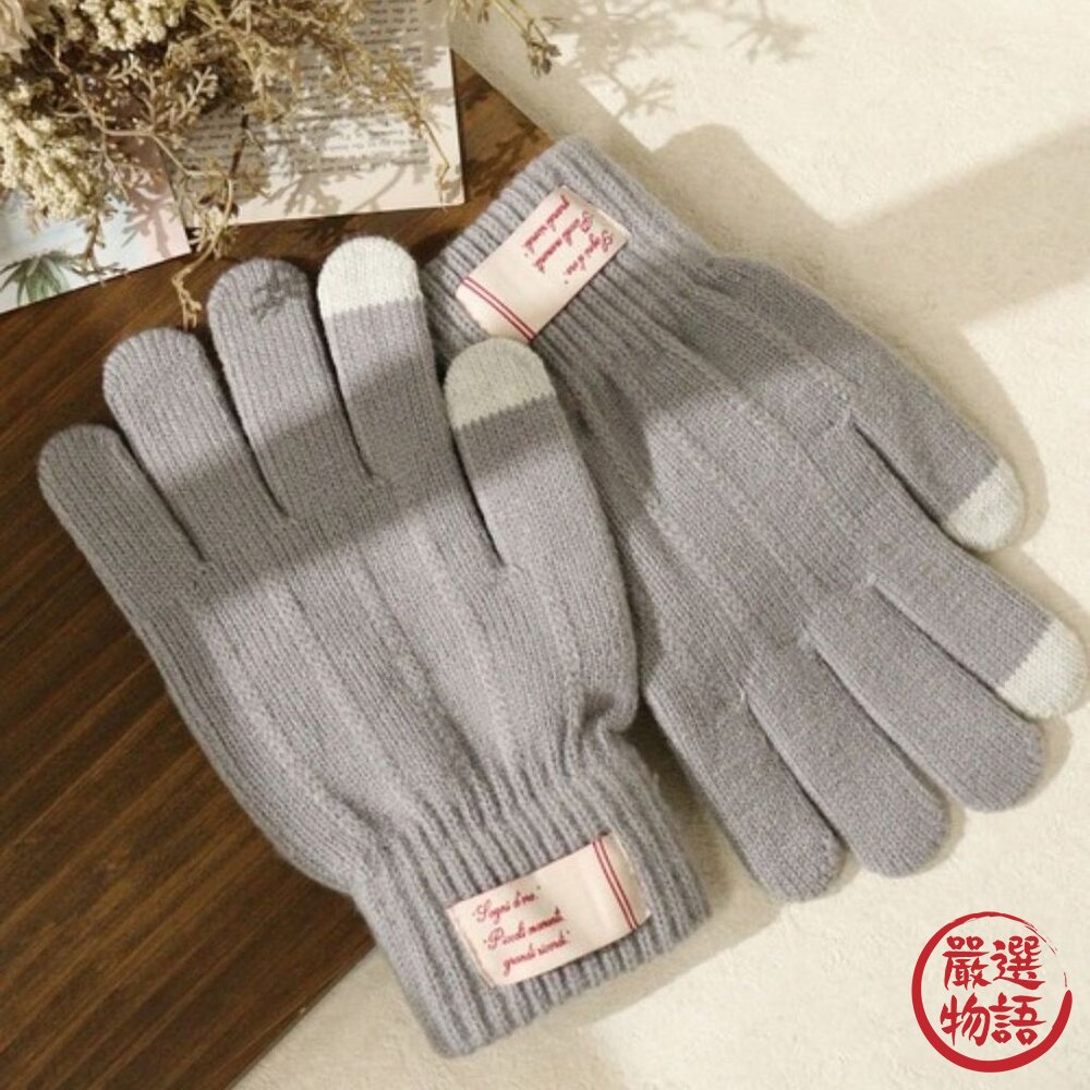 可划手機 刷毛保暖手套 男女通用 滑雪手套 防寒手套 針織手套 觸控手套 保暖手套 冬天必備 日本進口-圖片-2