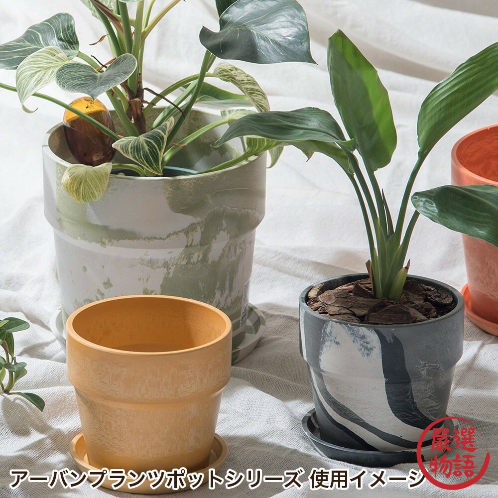 現貨 日本 日系綠植生活 環保花盆 3吋 4吋 5吋 Posh Living 多肉盆栽 花器 室內園藝 裝飾 日本進口-圖片-6