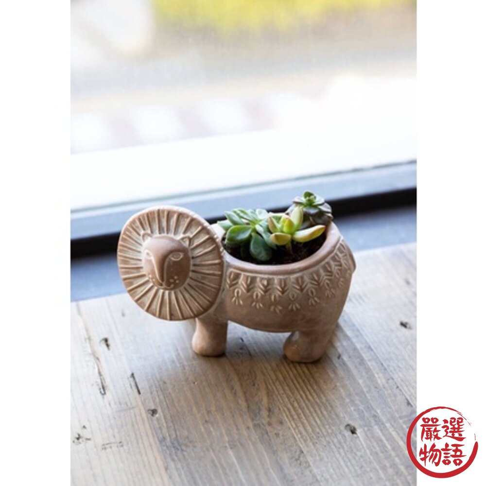 日本 People Tree 獅子 陶瓷盆栽 陶瓷花盆 造型花盆｜多肉盆栽 多肉花盆 花器 花盆 花架 日本進口 封面照片