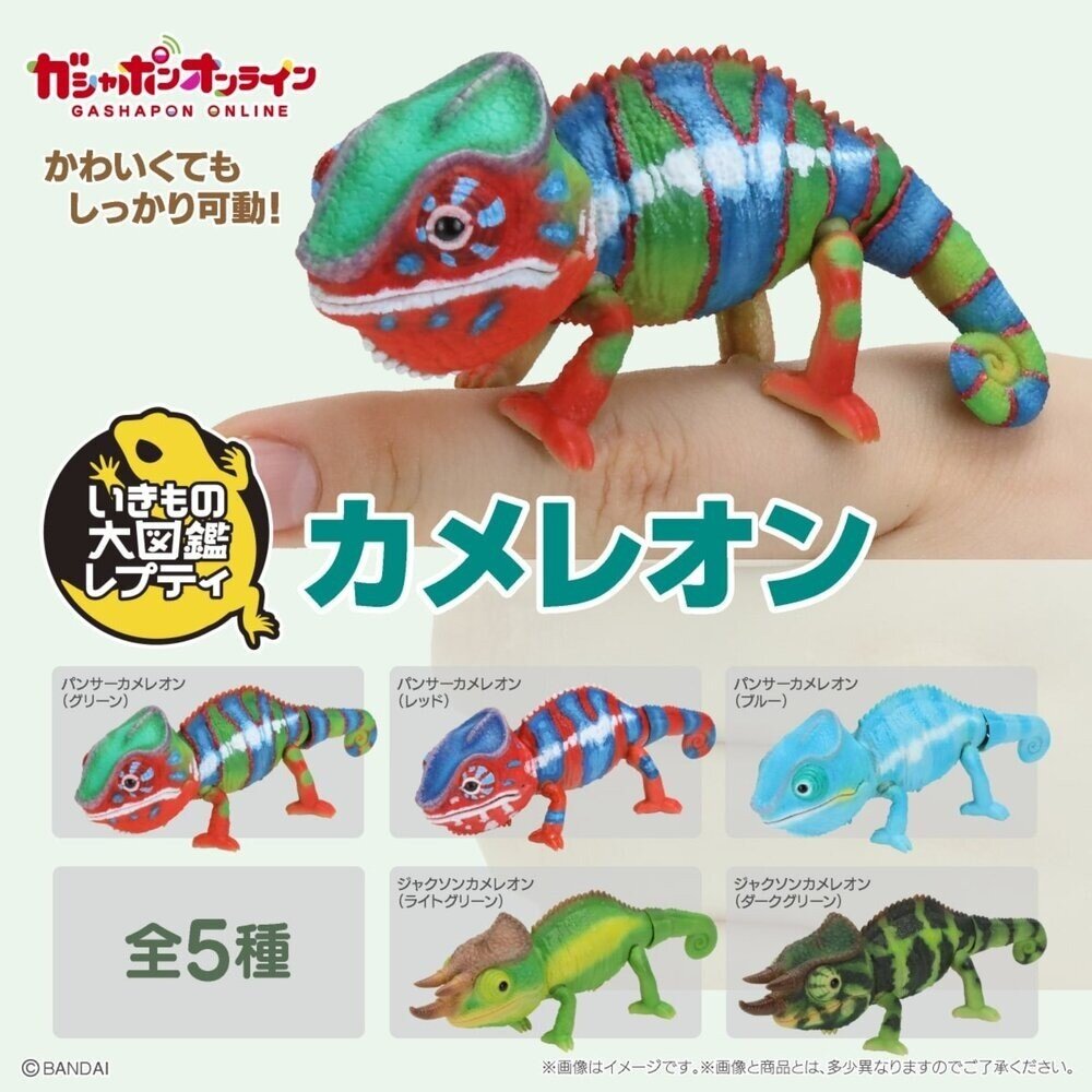 SF-021762-日本萬代 生物大圖鑑 雨蛙 變色龍 | 樹蛙 日本青蛙 自然科學教具 青蛙模型 爬蟲類模型 日本進口
