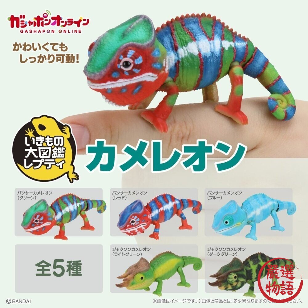 日本萬代 生物大圖鑑 雨蛙 變色龍 | 樹蛙 日本青蛙 自然科學教具 青蛙模型 爬蟲類模型 日本進口 封面照片