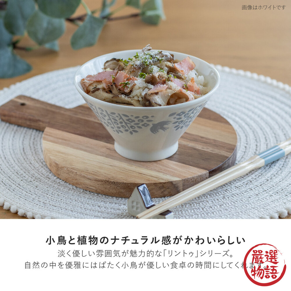 現貨 日本開運餐盤 LINTU 小鳥 植物 圓盤 大盤 拉麵碗 馬克杯 兩色可選 北歐風 手繪花鳥 陶瓷盤 日本進口-圖片-3
