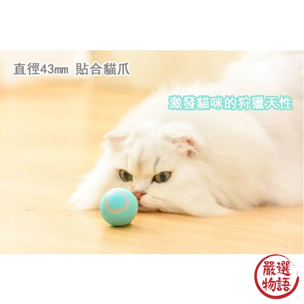 自動逗貓球 智能滾滾球 貓咪玩具 逗貓球 滾滾球 兩色可選-圖片-3