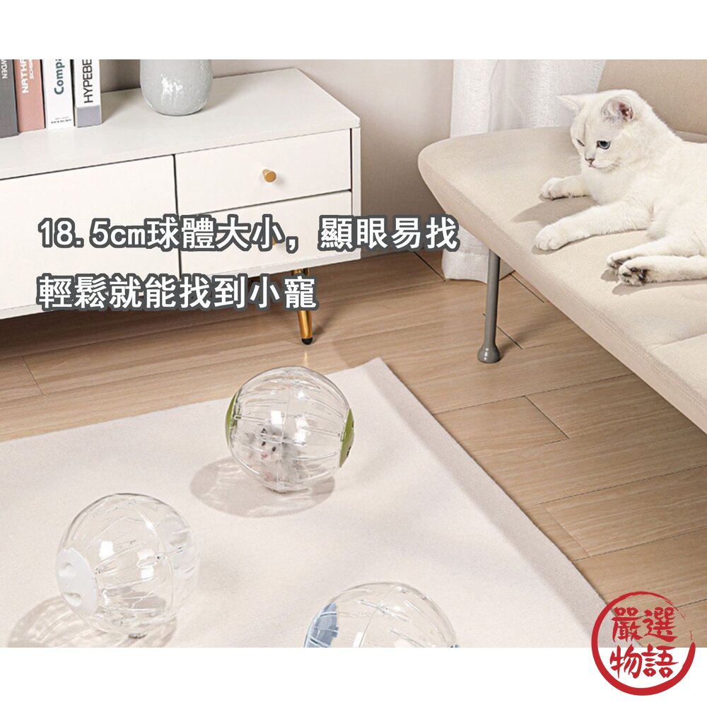 卡諾Carno倉鼠跑輪 倉鼠滾球 靜音玩具 滾輪 跑球 跑步球 滾球 倉鼠玩具 跑輪-圖片-3