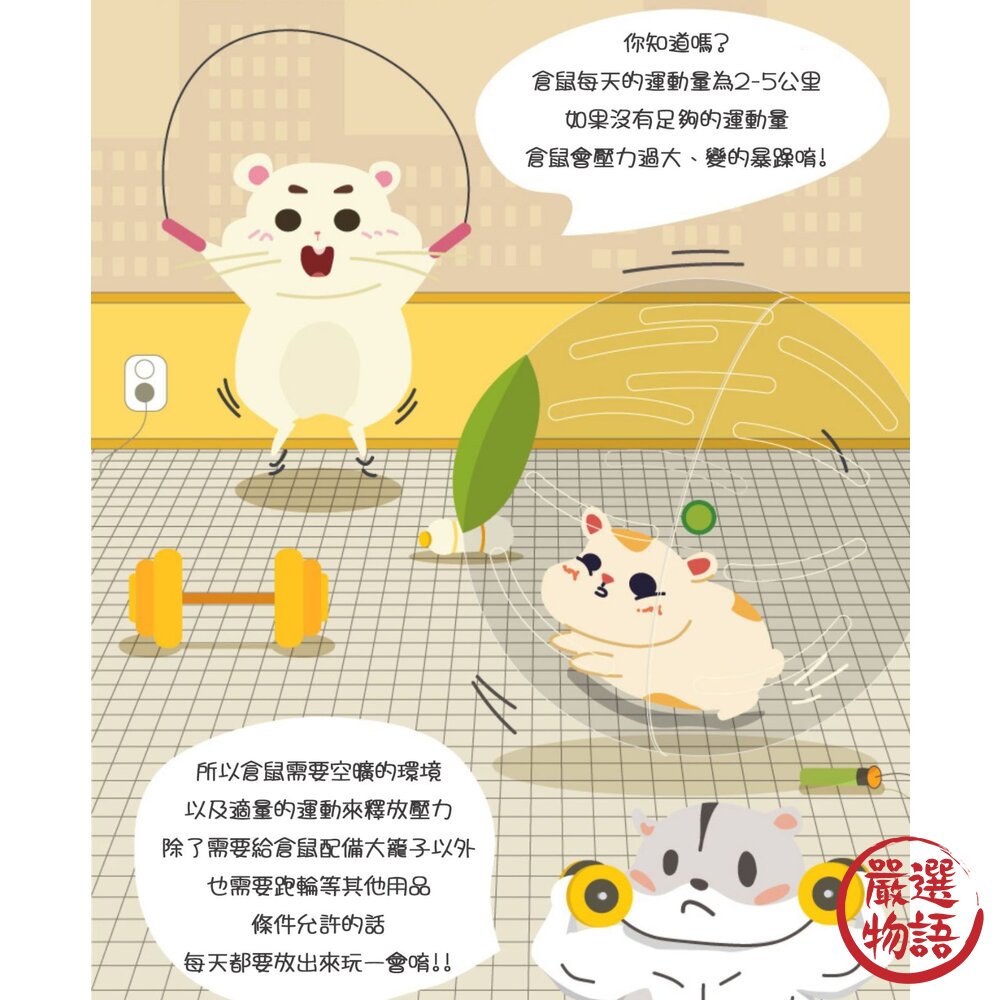 卡諾Carno倉鼠跑輪 倉鼠滾球 靜音玩具 滾輪 跑球 跑步球 滾球 倉鼠玩具 跑輪-圖片-4