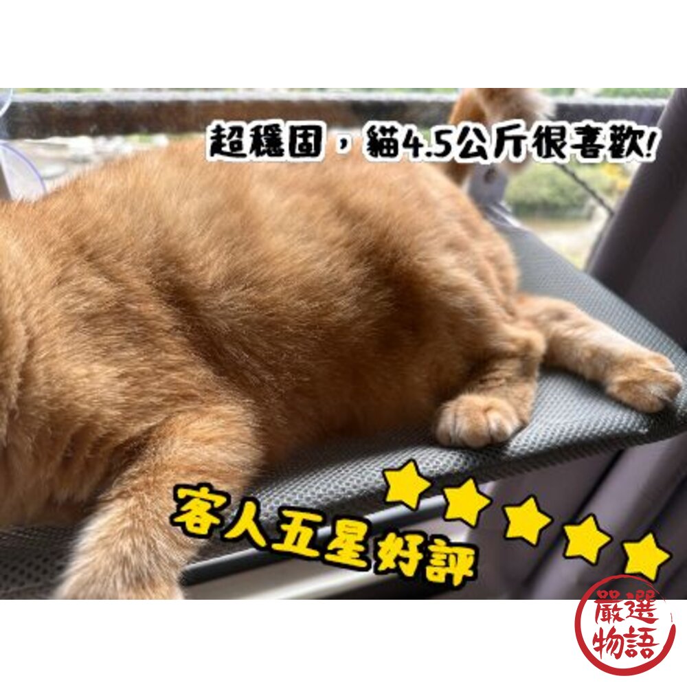 貓吊床 寵物吸盤掛床 貓窩-圖片-6