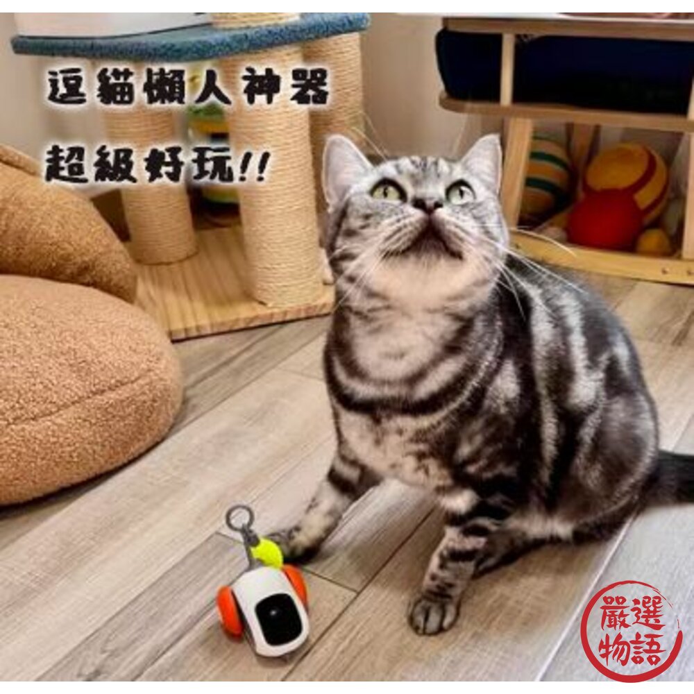 自動遙控車 逗貓玩具 貓玩具-圖片-5