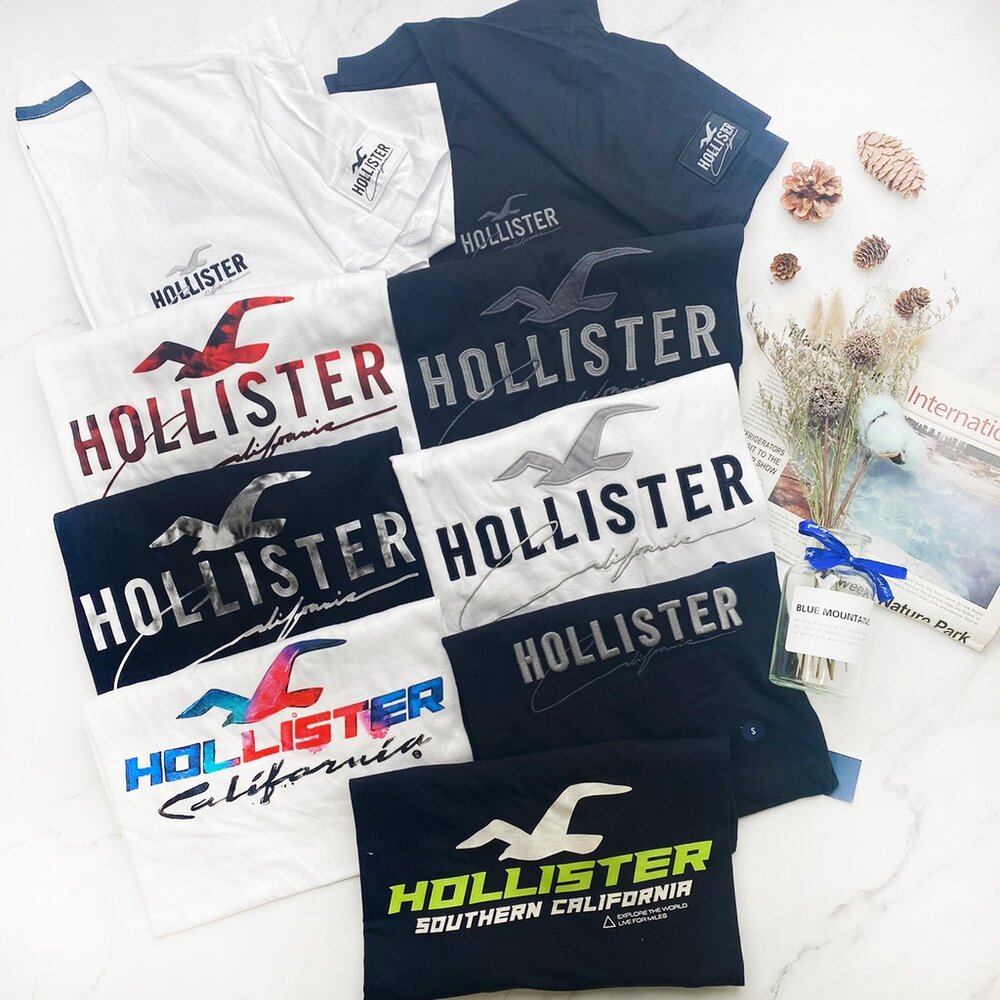 17586078717-Hollister HCO  短袖t恤 刺繡款 海鷗 短袖 t 恤 男生經典 大LOGO 衣服 短TEE 上衣 素t