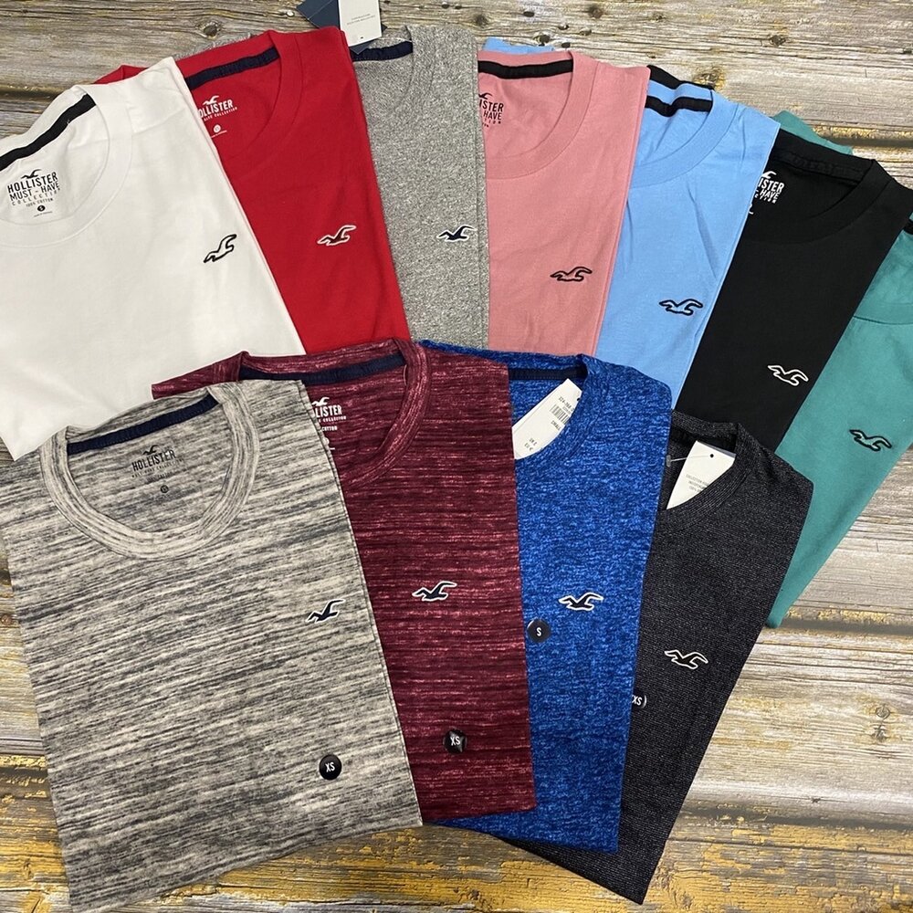 Hollister HCO 海鷗 刺繡 小Logo 素t 短袖 t 恤 休閒外出 情侶裝 多色可挑-圖片-1