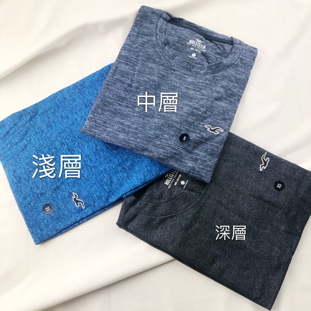 Hollister HCO 海鷗 刺繡 小Logo 素t 短袖 t 恤 休閒外出 情侶裝 多色可挑-圖片-7