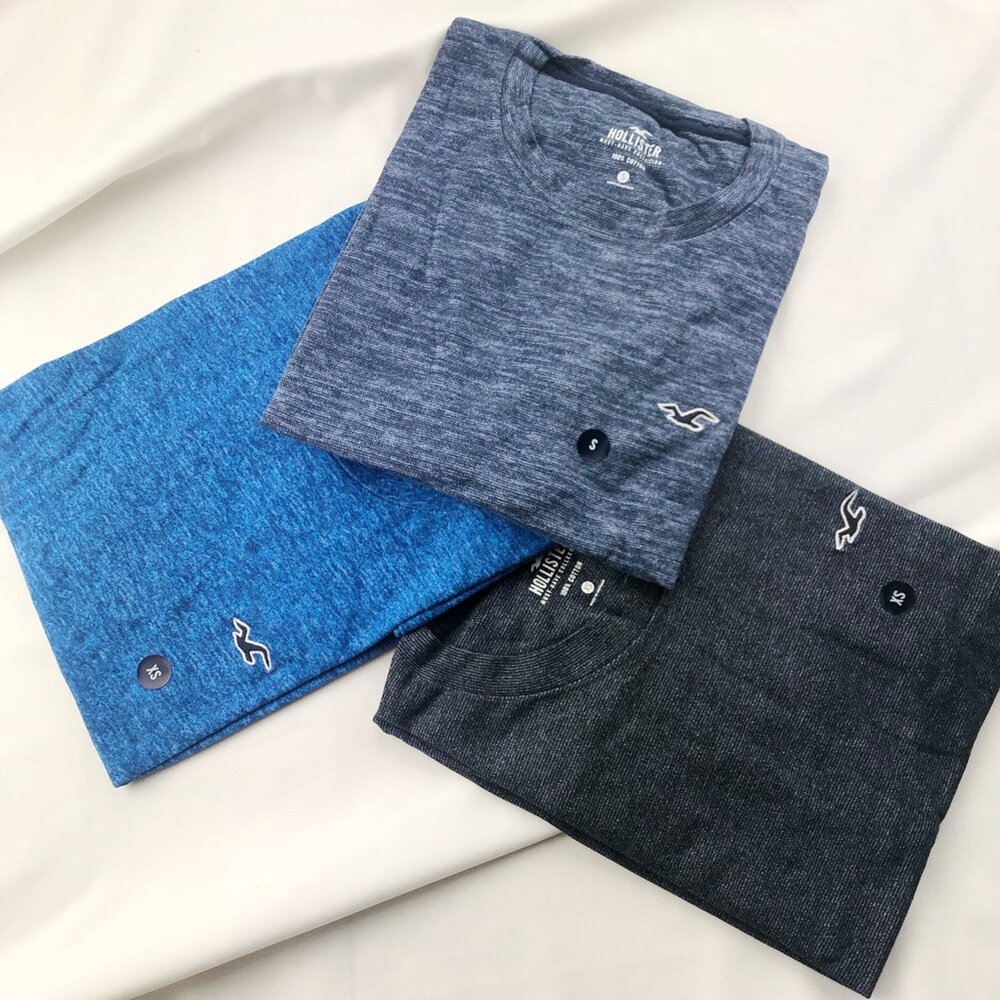 Hollister HCO 海鷗 刺繡 小Logo 素t 短袖 t 恤 休閒外出 情侶裝 多色可挑-圖片-8