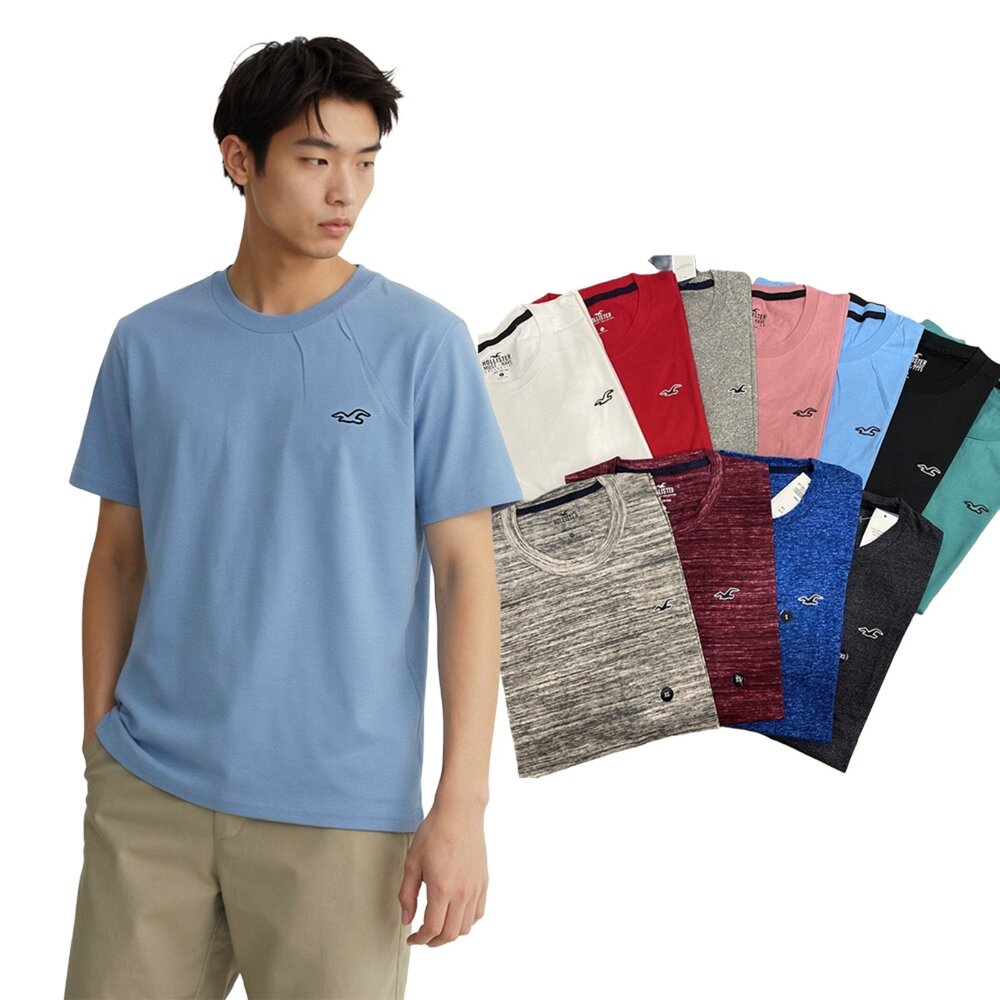 2040766538-Hollister  HCO 海鷗  刺繡 小Logo 素t 短袖 t 恤 休閒外出 情侶裝  多色可挑