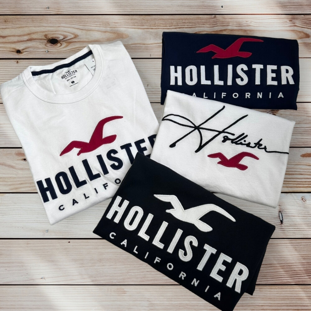 22476374549-Hollister HCO  短袖t恤 刺繡款 海鷗 短袖 t 恤  大LOGO 衣服 短TEE