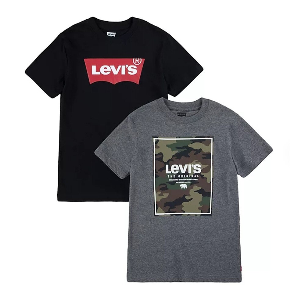 Levi's 青年 經典短TEE 兩件組 米彩 山脈 經典 LEVIS 情侶款 T-shirt 短T t恤-圖片-1