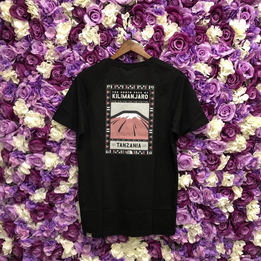 The North Face T-Shirt 山景 短袖 男 黑 北臉短T NORTH FACE 短T 男女可穿-圖片-3