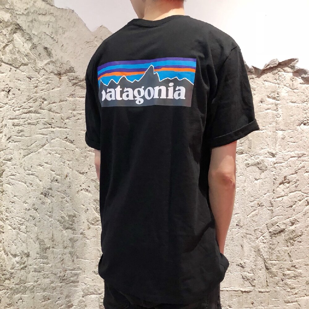 5126234420-Patagonia P-6 logo 21新款 情侶款 山景 短袖 經典前小後大 短袖 T恤 現貨 T-Shirt