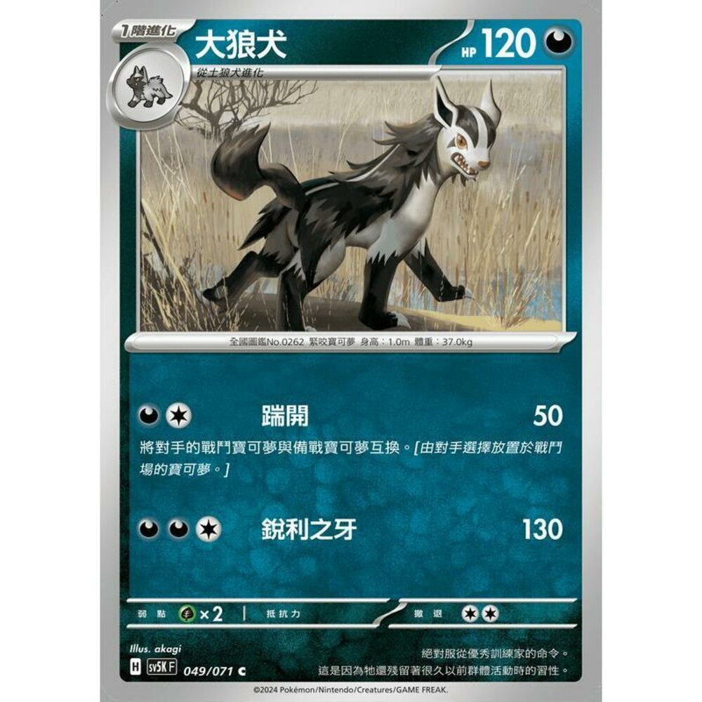 24614506895-【晴天屋】PTCG 寶可夢 中文版 大狼犬 SV5K 049/071 C