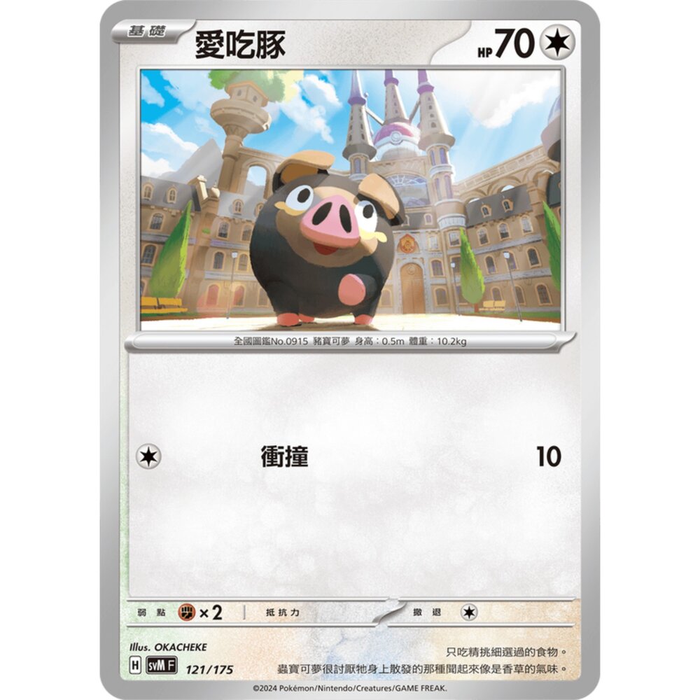 250209180913-【晴天屋】寶可夢 PTCG 中文版 雙ex初階牌組 svM 121/175 愛吃豚