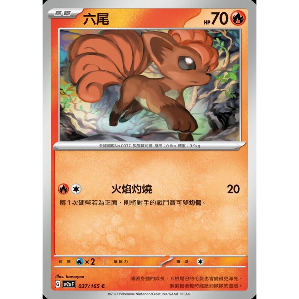 250227201424-【晴天屋】寶可夢 PTCG 中文版 六尾 SV2a 037/165 C 初代 151