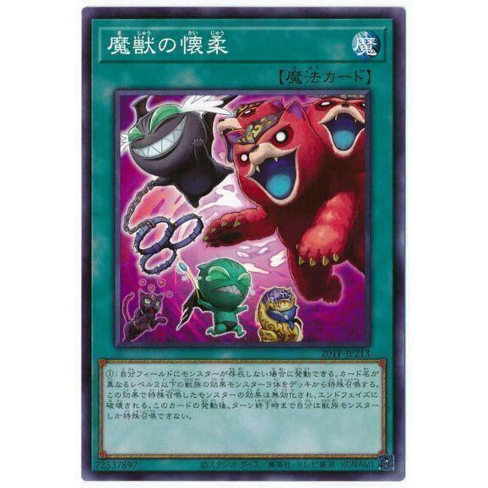 250321172803-【晴天屋】遊戲王 DBJH-JP029 20TP-JP213 魔獸的懷柔 (普卡)