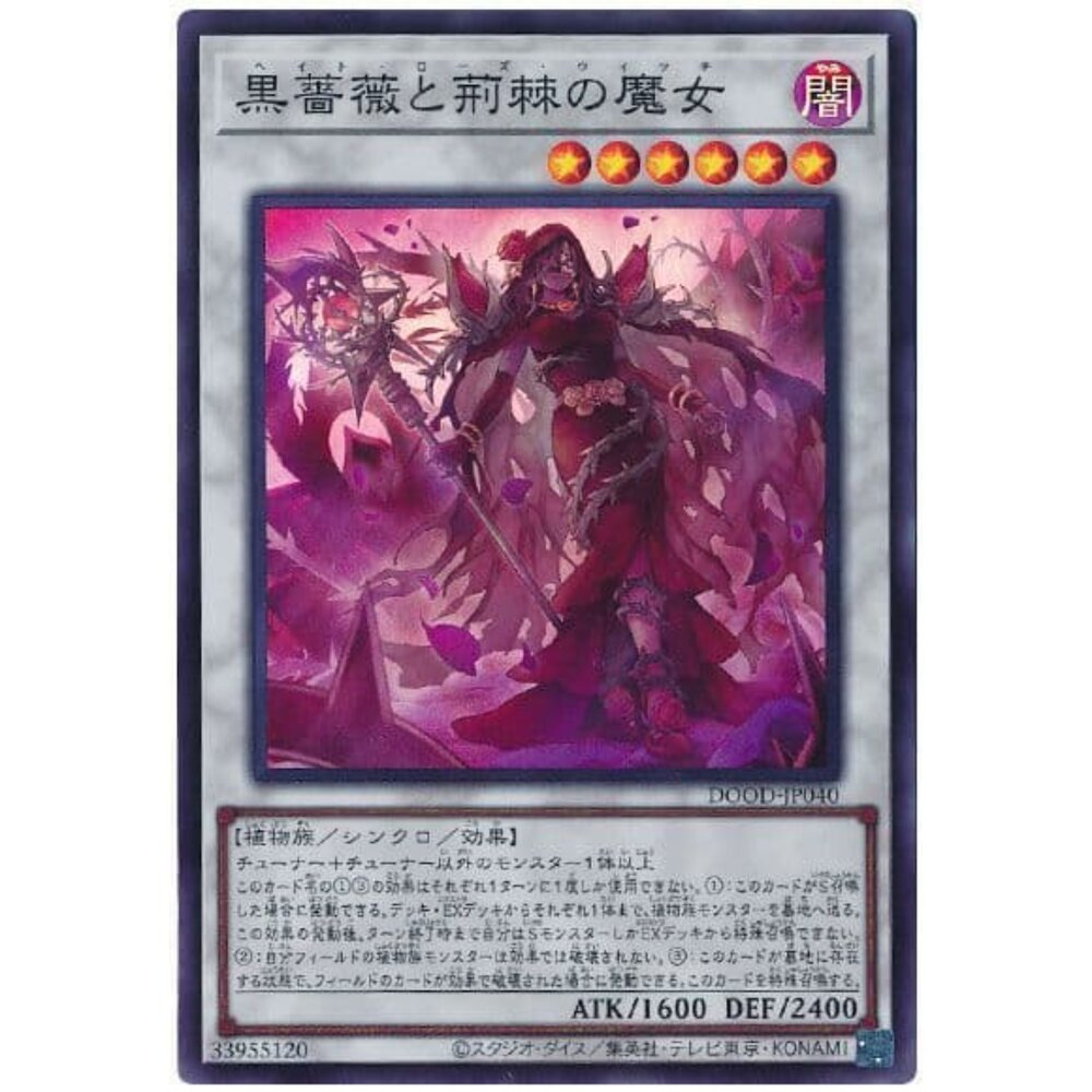 250726140348-【晴天屋】遊戲王 DOOD-JP040 黑薔薇與荊棘的魔女 (亮面)