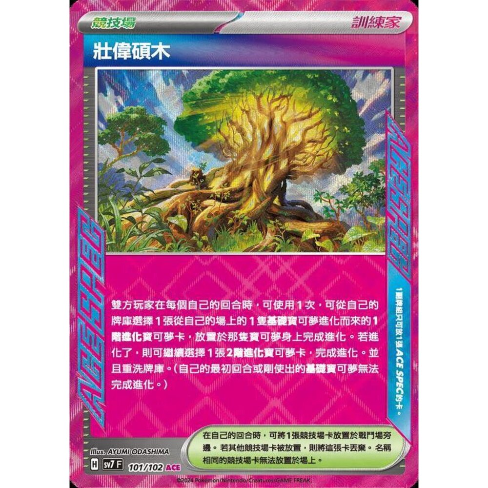 27606797901-【晴天屋】PTCG 中文版 壯偉碩木 SV7 101/102 ACE SPEC