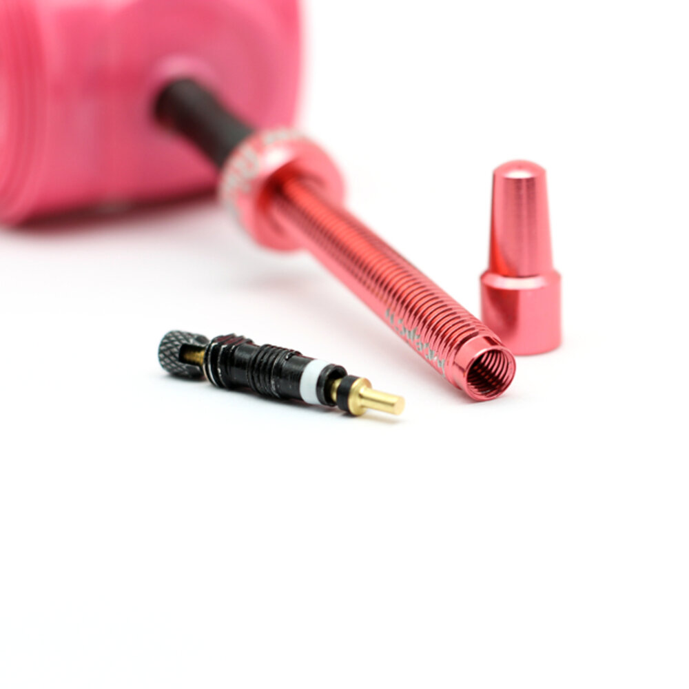 RIDENOW 內胎 金屬氣嘴 超輕量 24G 45MM/65MM/85MM 粉色-圖片-3