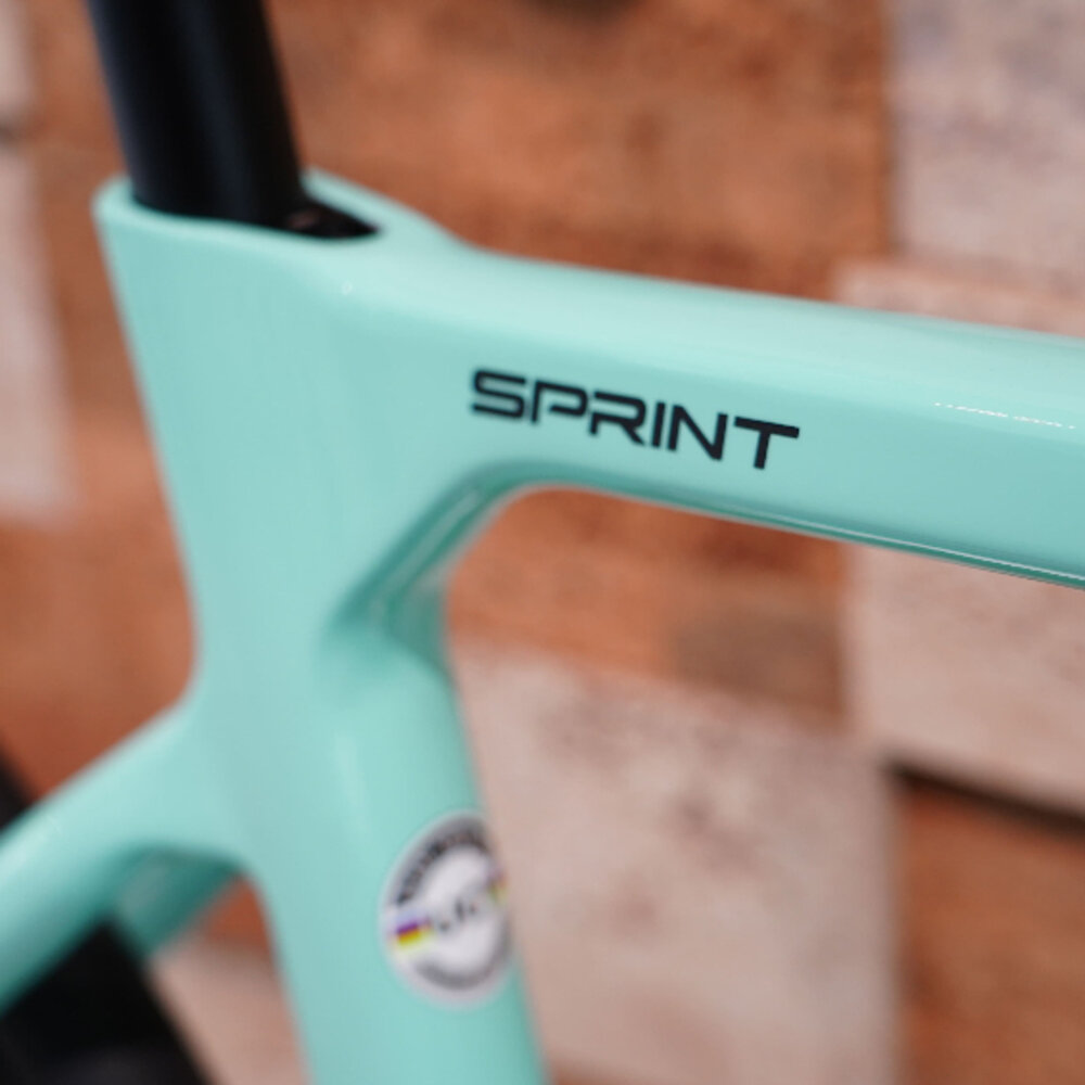 Bianchi Sprint ICR 爬坡型公路車 105機械變速 105電變 鋁框-圖片-3