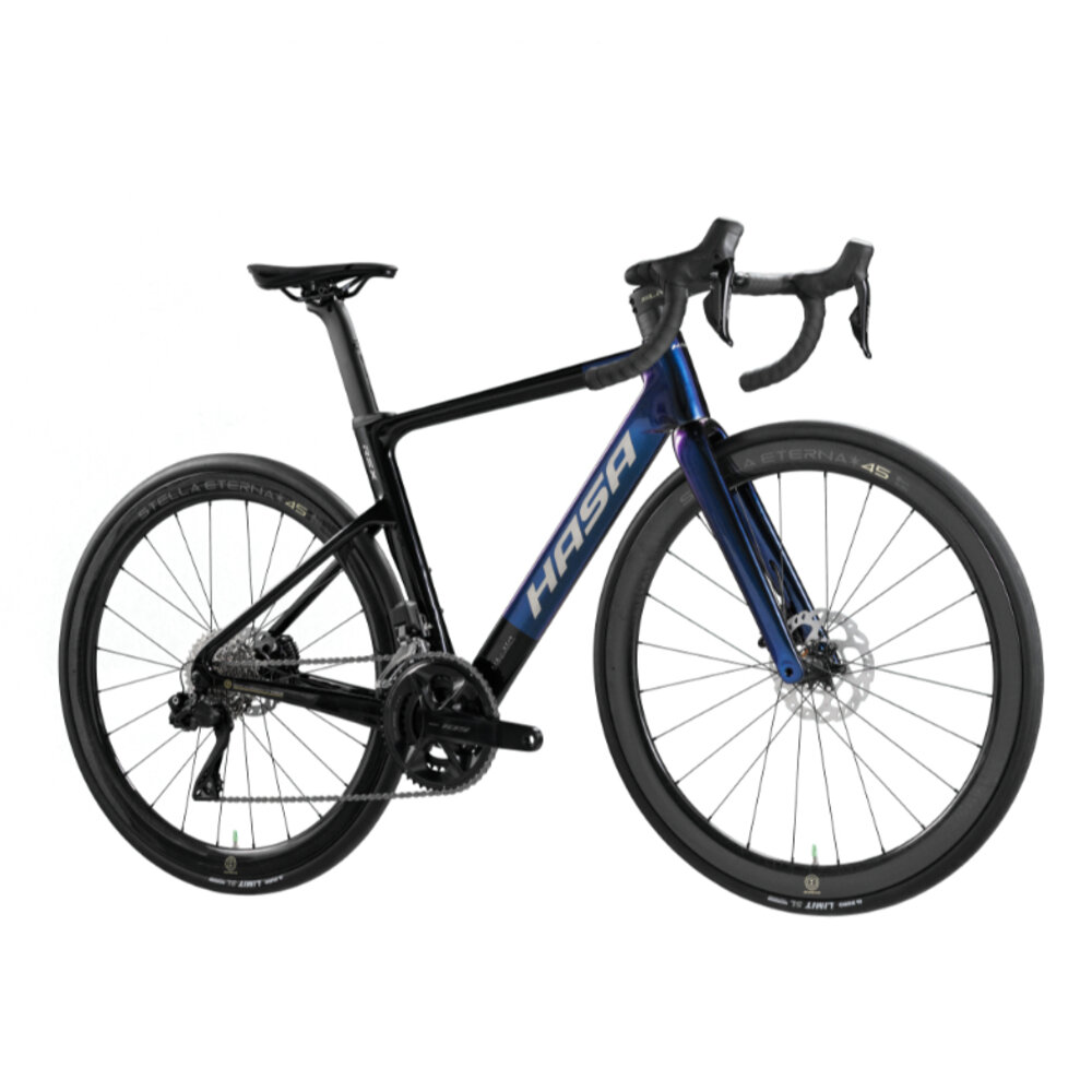 42121509333-HASA 2025 RSX (NEW) 碳纖維公路車