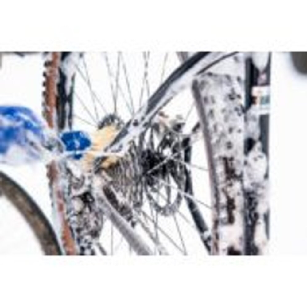 PARK TOOL 專業自行車清潔刷組 BCB-5-圖片-4