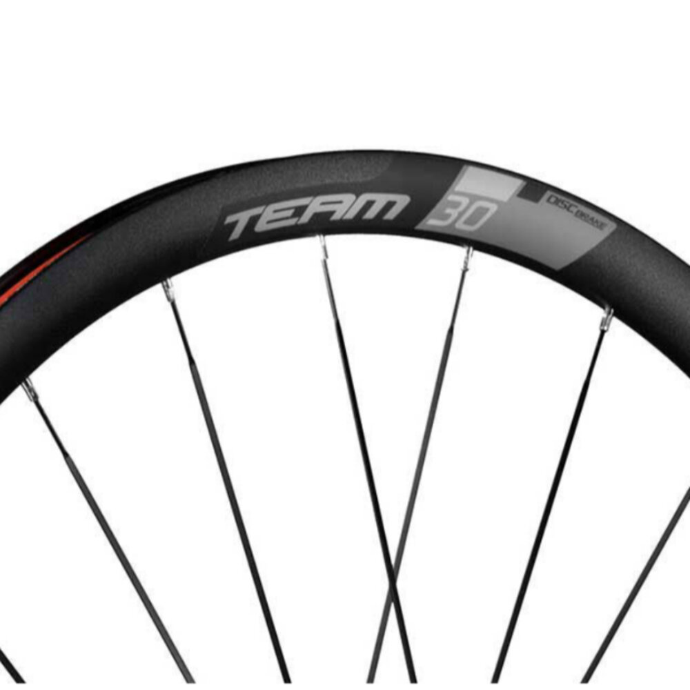 【小宇單車】VISION 輪組 TEAM 30 碟煞 配車輪 鋁框-圖片-2