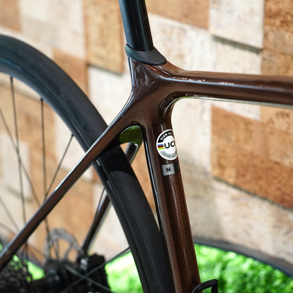 GIANT 二手公路車 TCR 9代 2024 AD2 棕色M-圖片-2