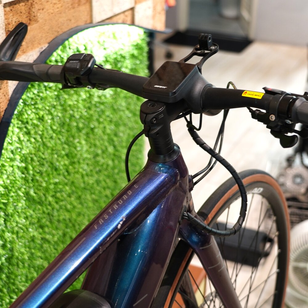 GIANT 二手電輔車 FASTROAD E+ 變色龍S 含增程電池-圖片-3