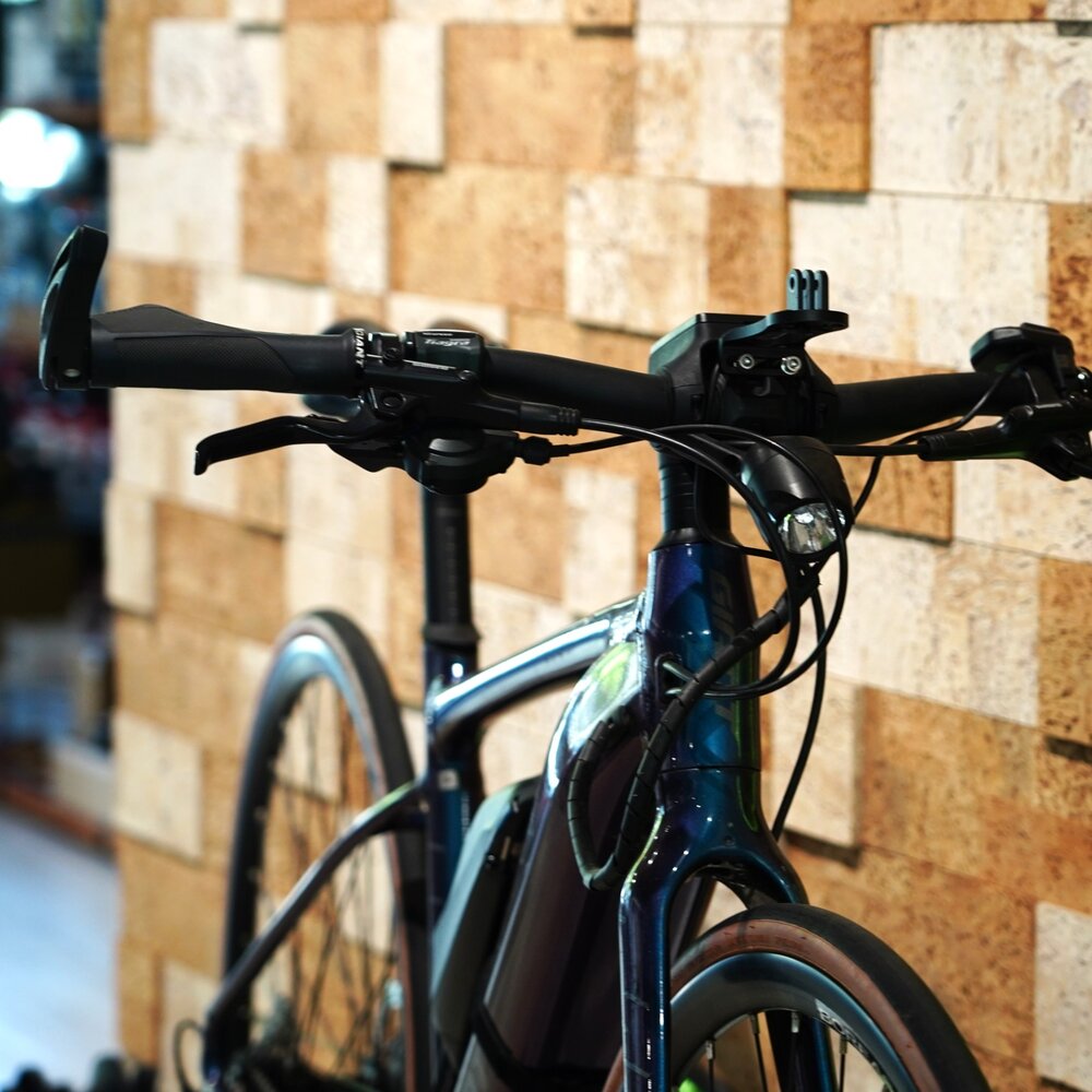 GIANT 二手電輔車 FASTROAD E+ 變色龍S 含增程電池-圖片-4