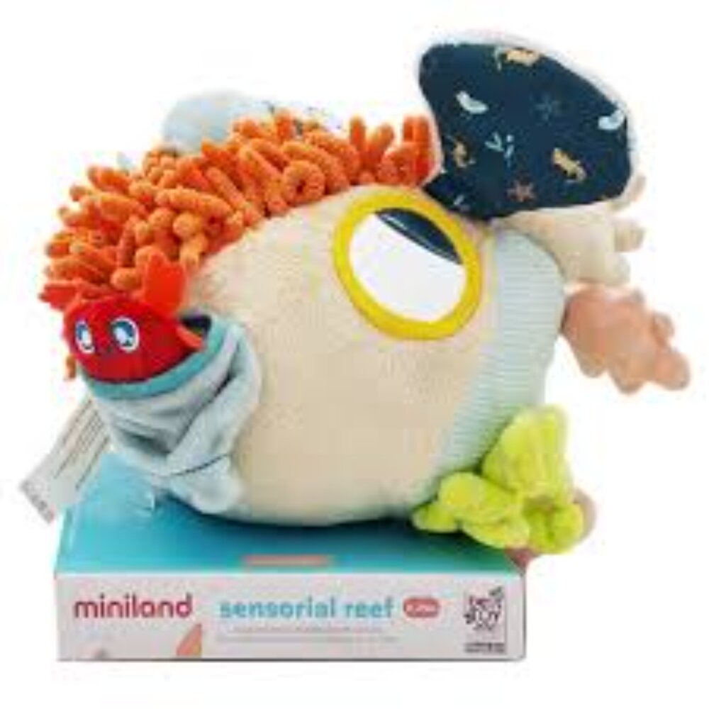 C03-62-miniland 海底世界感官觸覺球 可水洗, 34cm, 0歲以上適用, 225g現貨