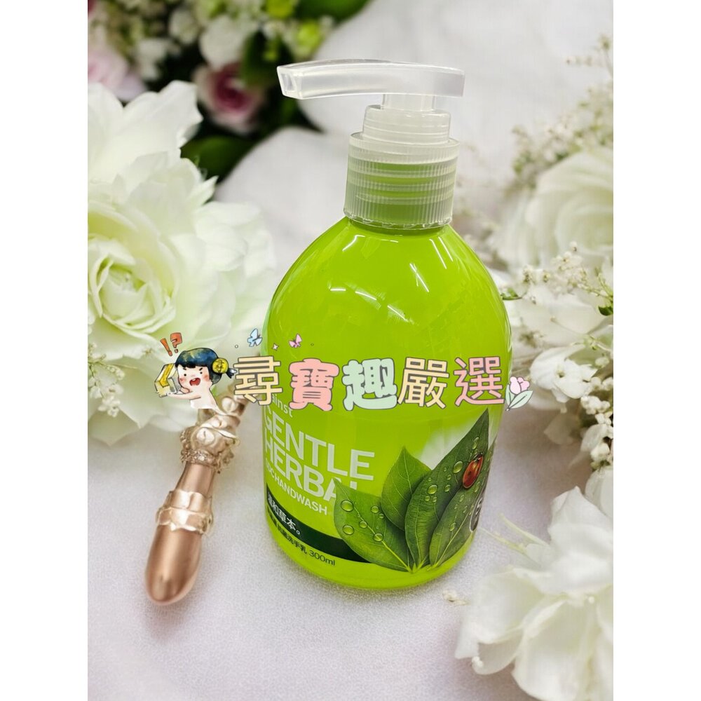 快潔適 SDC抗菌洗手乳-清新柑橘300ml/抗菌洗手乳-溫和草本300ml/山茶花香300ml F03-23-圖片-3