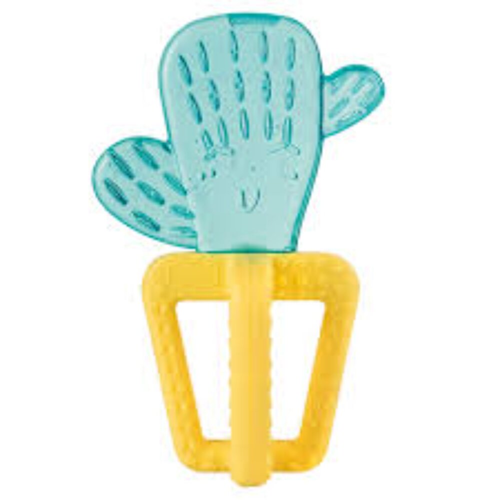 J03-46-Chicco 仙人掌冰凍固齒玩具, 1個現貨