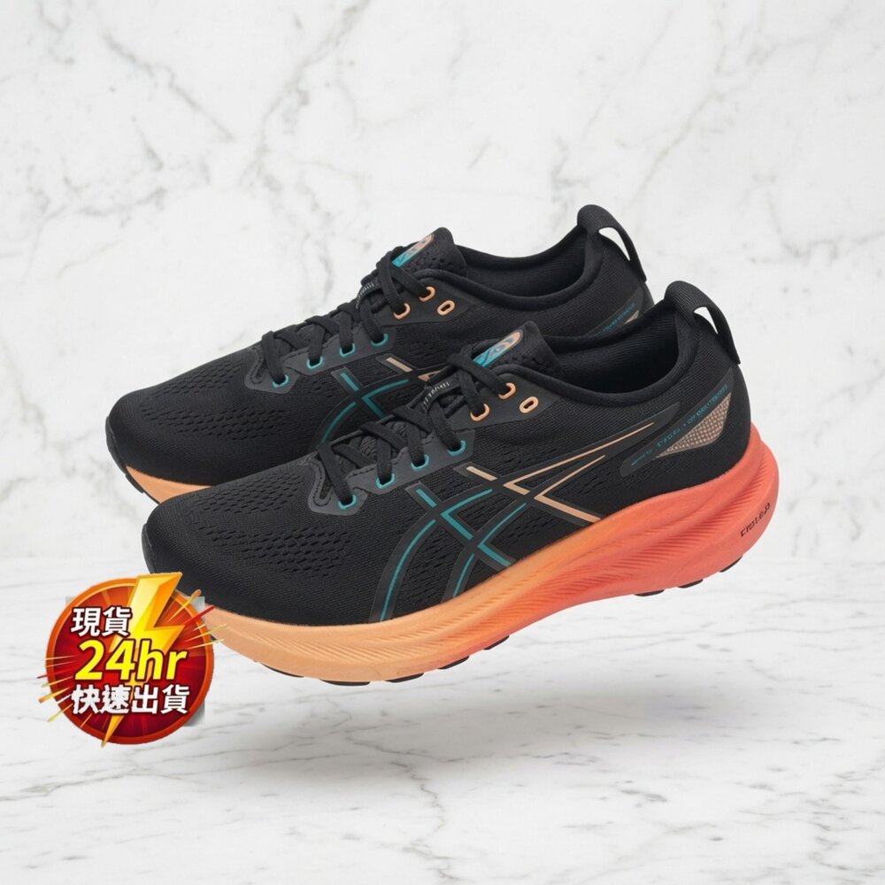 Q04-10-24H出貨現貨 正品 ASICS 亞瑟士 男款 GEL-KAYANO 31 2E寬楦 慢跑鞋27cm 1011B869-