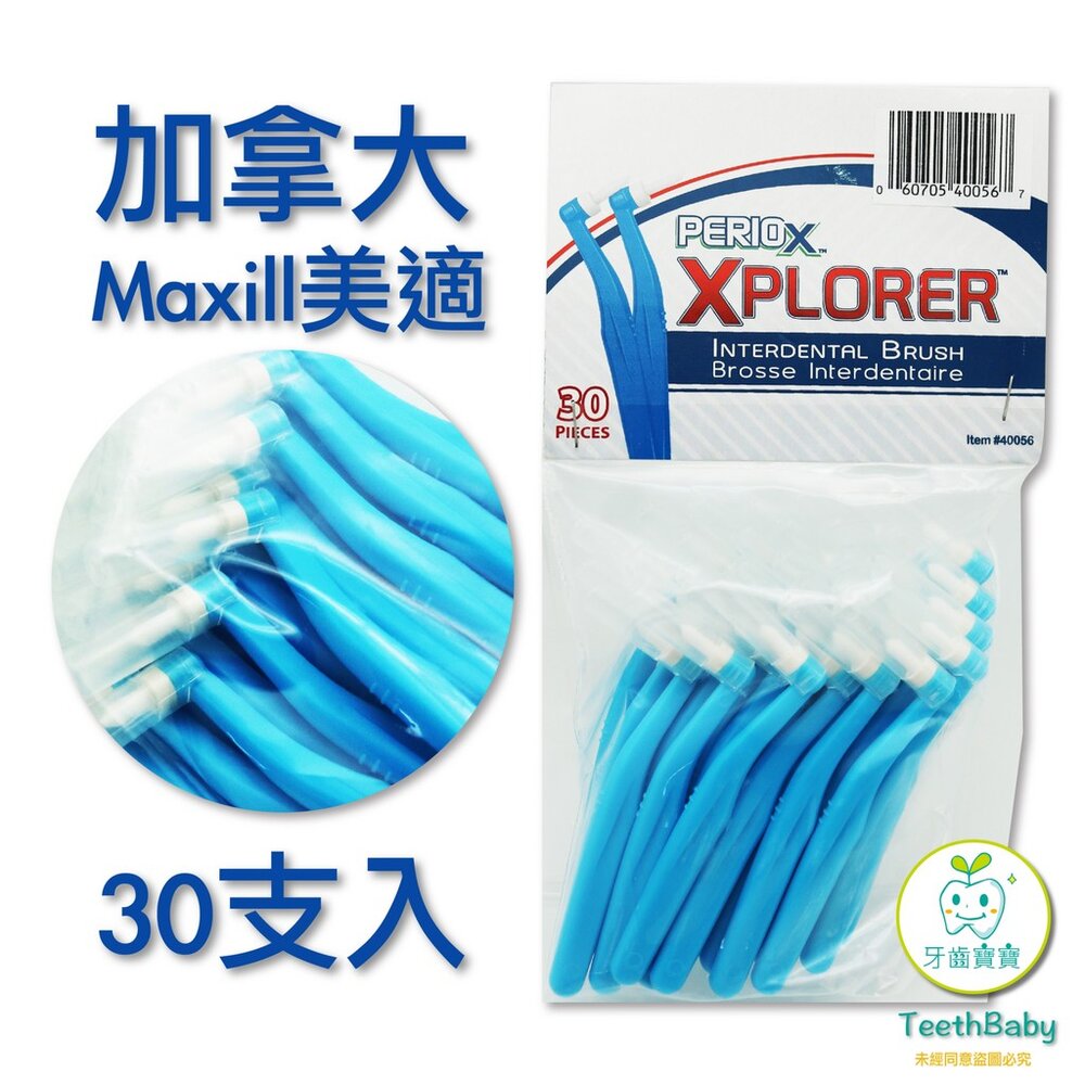 加拿大美適Maxill 單束毛牙刷(30入)-圖片-1