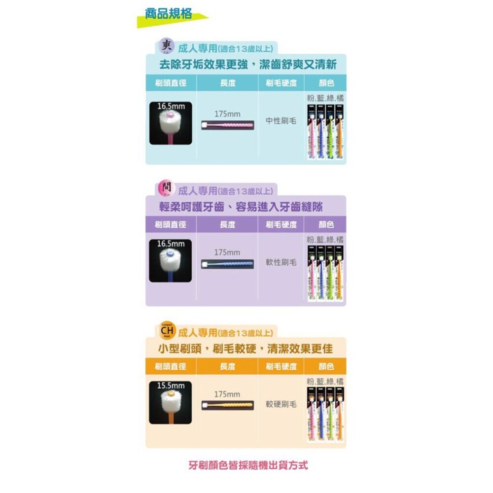 日本STB 蒲公英360度纖柔刷毛幼兒/兒童牙刷/成人 (爽/間/ch)-圖片-4