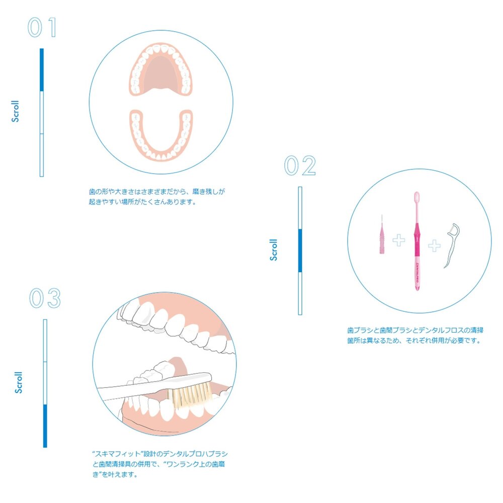 日本進口 DENTALPRO #122462 超柔密細絲 超緊湊型軟毛牙刷一支-圖片-5