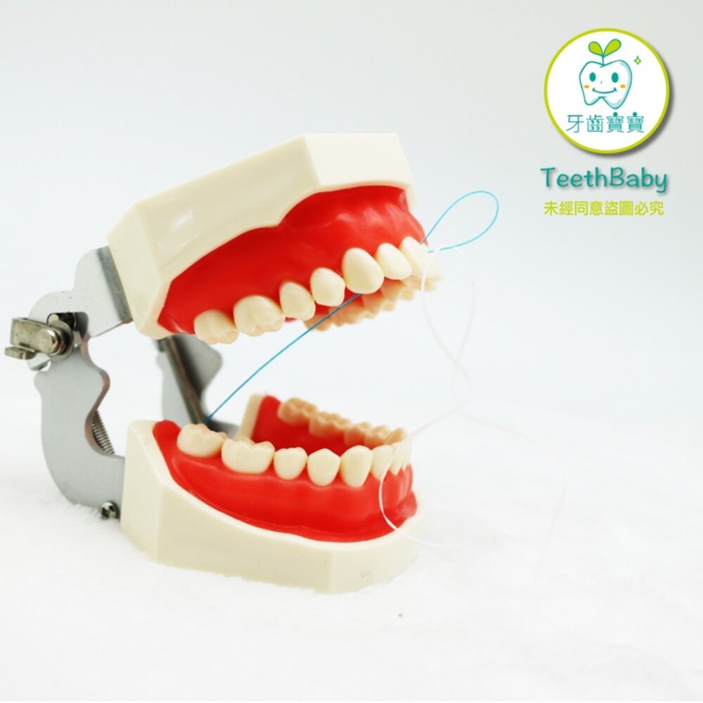 牙線穿引器 穿引器 穿引線 35入附收納盒裝 假牙專用 矯正 齒列矯正 另有GUM-圖片-1