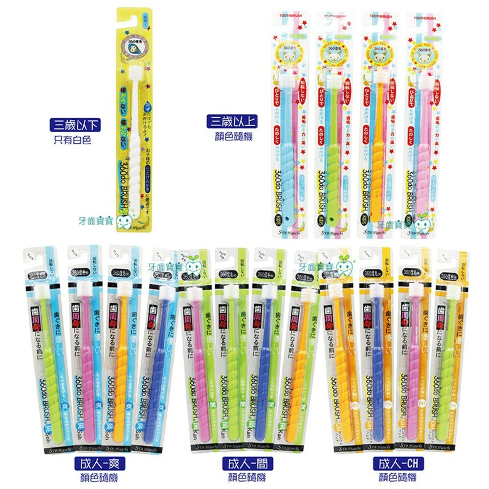 日本STB 蒲公英360度纖柔刷毛 幼兒&兒童&成人(爽/間/ch)-圖片-3